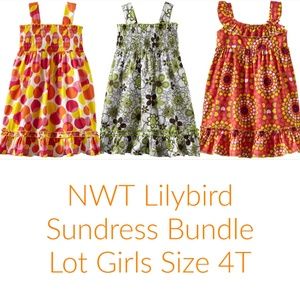 Lilybird Girls Smocked Tiered Sun Dress Clothes Lot Size 4T Sundress NWT